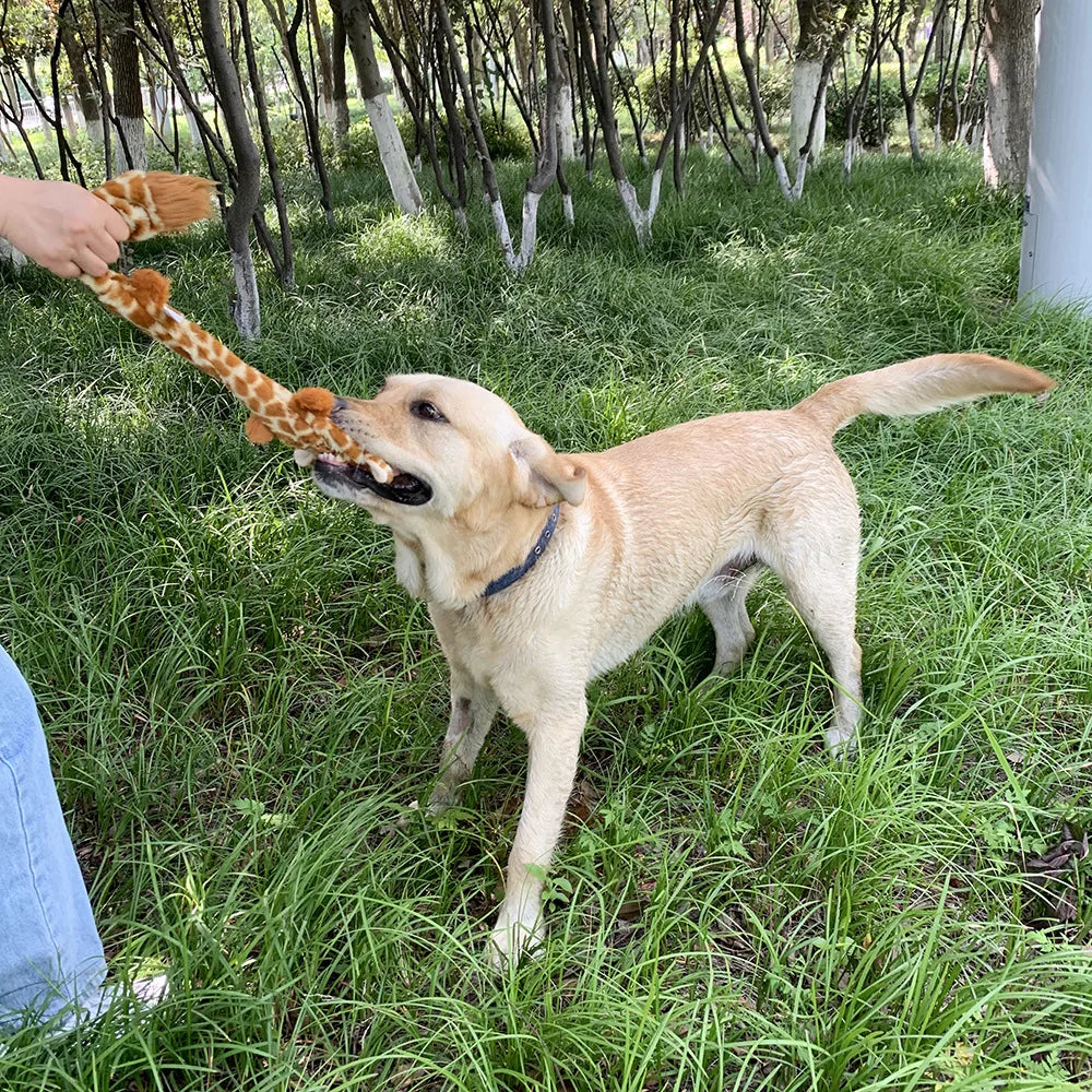 raposa sem pelúcia