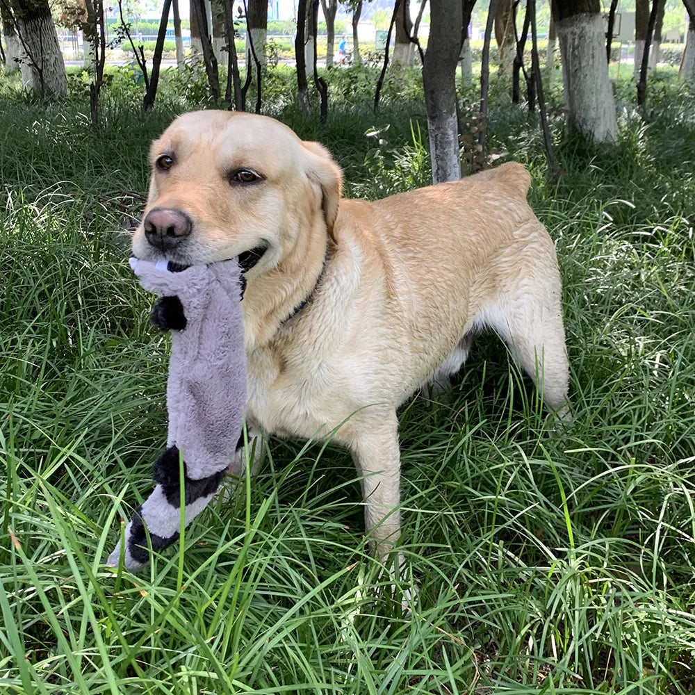 Ardilla sin renello · juguete de perro esponjoso