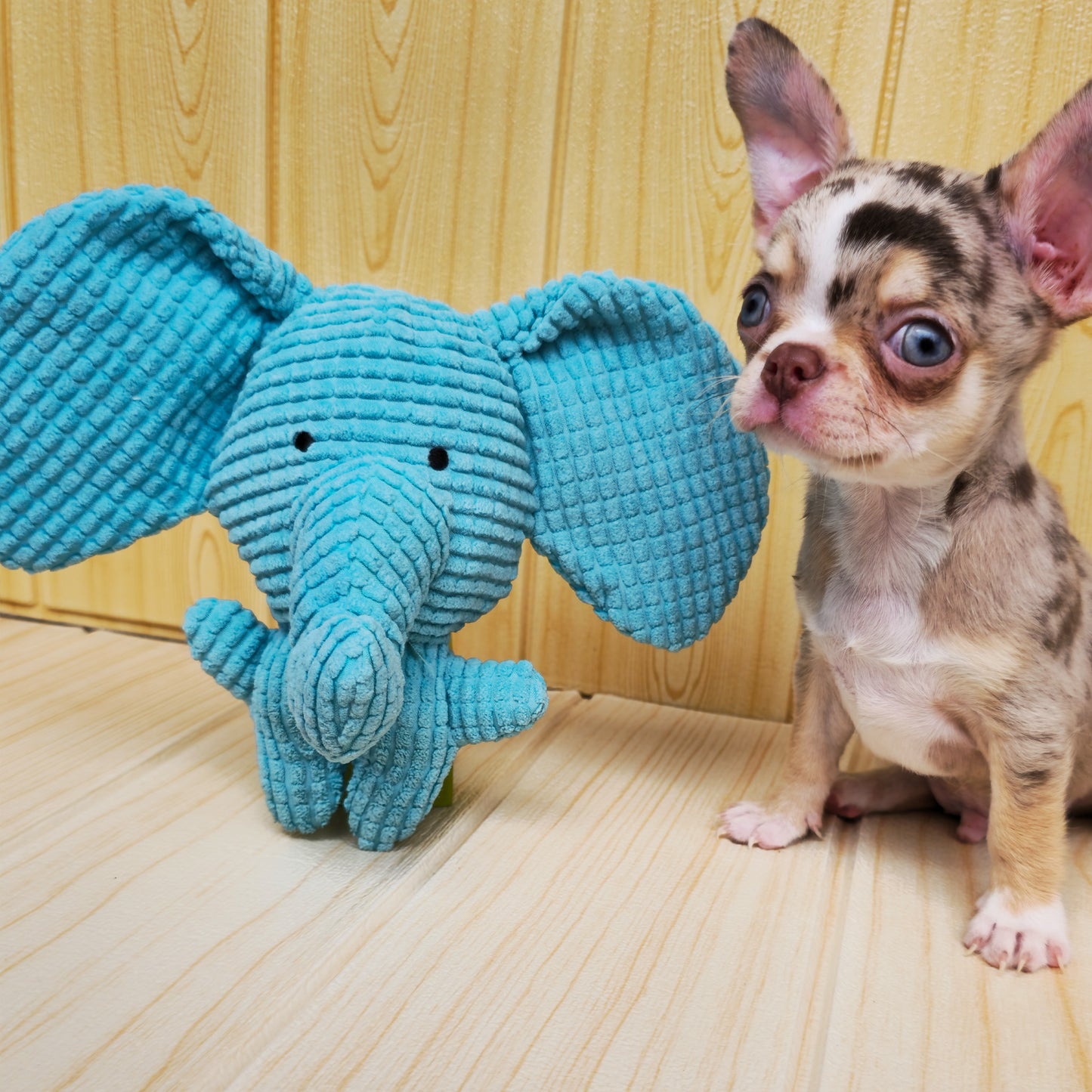 Elefante · juguete de perro de peluche